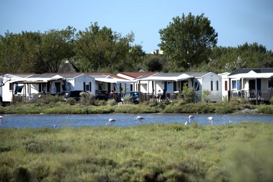Mobilhomes au bord de l'étang